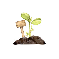 a green sprouts grown from from the soil