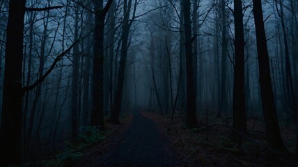 Naklejka premium Misty forest path at dusk with tall trees and fog enveloping the landscape