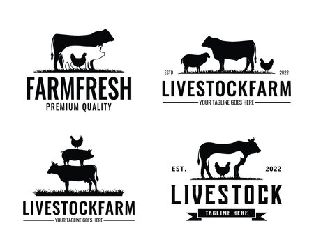Farm animal logo design vector. Livestock and Cattle, farm logo template