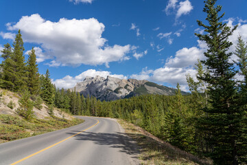 Fototapeta premium Mountain road in the forest in summer time. Lake Minnewanka scenic drive Loop. Banff National Park, Canadian Rockies, Alberta, Canada.