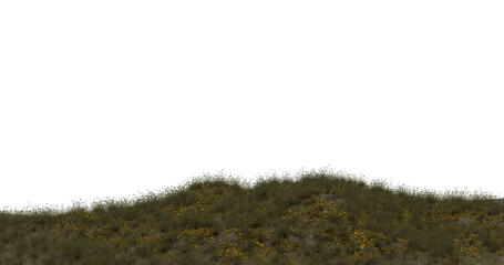 Green Grass Field Against on transparent background