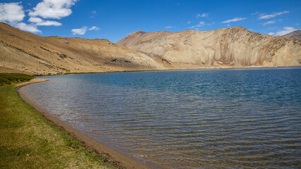 Grasslands at the banks of Yayatso, a high-altitude lake at Ladakh, India. A new biodiversity hotspot at an attitude of 4820 meters.  