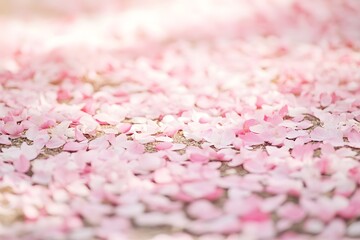 Pink Flower Petals