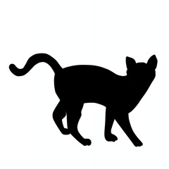 black cat silhouette