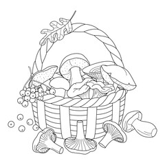Basket with mushrooms doodle style coloring page. Hand drawn line art autumn illustration with mushrooms and berries, forest gifts. Coloring book for kids and adults. Vector illustration
