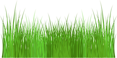 Grass silhouette seamless pattern. Green grass meadow border vector pattern. Autumn summer plant field lawn.