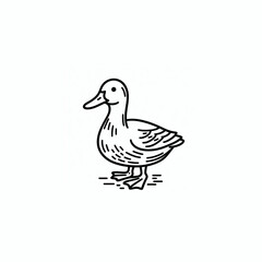 Obraz premium A duck drawn with black lines.