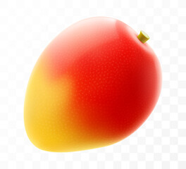 Fresh mango tropical fruit. Exotic mango fruit isolated on transparent background. Summer tropical vitamin food. Realistic 3d vector illustration