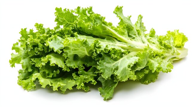 62. "A vibrant image of a fresh head of lettuce isolated on a pristine white background, emphasizing its vitamin and mineral content