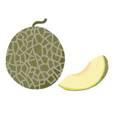 melon illustration with slice