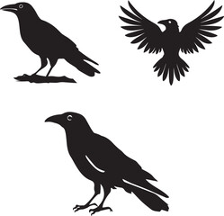 Creative crow vector art illustration 