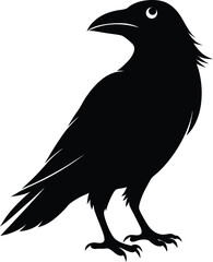 Creative crow vector art illustration 