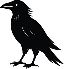 Creative crow vector art illustration 