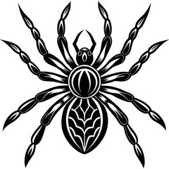 Spider silhouette isolated on white background