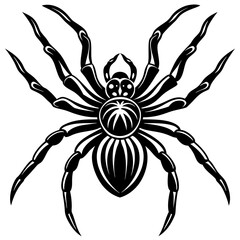 Obraz premium Spider silhouette isolated on white background