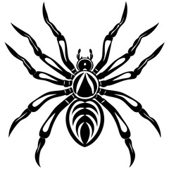 Spider silhouette isolated on white background