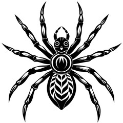 Spider silhouette isolated on white background