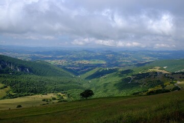Picturesque view of green forest in mountains