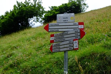Signpost with directions near green grass on mountain