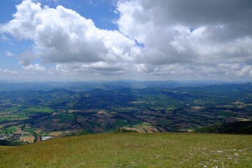 Picturesque view of green forest in mountains