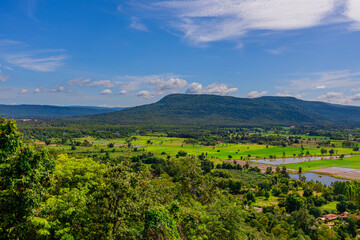 Fototapeta premium The background of green rice fields with large mountains and various kinds of trees provide shade and fresh air.