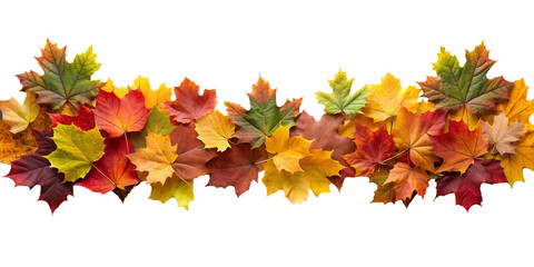 Autumn Leaves Border in Various Colors Isolated on White Transparent Background, PNG Element. Vibrant fall foliage colorful garland