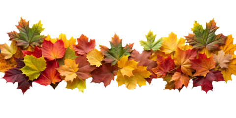 Autumn Leaves Border in Various Colors Isolated on White Transparent Background, PNG Element. Vibrant fall foliage colorful garland