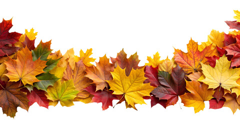 Autumn Leaves Border in Various Colors Isolated on White Transparent Background, PNG Element. Vibrant fall foliage colorful garland