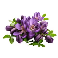 Vibrant Purple Blossoms Surrounded by Fresh Green Leaves Arrangement
