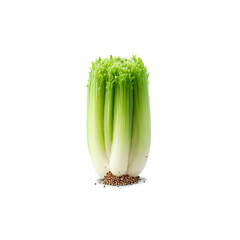 Obraz premium Celery seeds tiny size dark brown color uniform shape Food and culinary concept