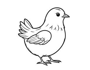 Fototapeta premium Drawing of a cute chick to color.
