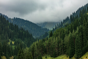 landscape with clouds
