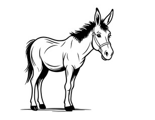 Obraz premium Drawing of a cute donkey to color.