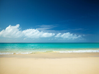 A view of an empty tropical beach, palm trees