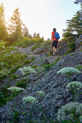 pretty senior woman hiking in warm dawn sunlight and enjoying the spectacular view over the Allgau alps on the Nagelfluh mountain chain near Oberstaufen, Bavaria, Germany