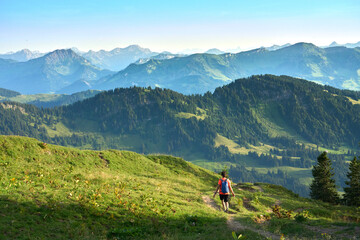 Naklejka premium pretty senior woman hiking in warm dawn sunlight and enjoying the spectacular view over the Allgau alps on the Nagelfluh mountain chain near Oberstaufen, Bavaria, Germany