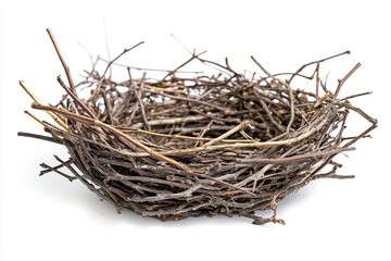 An empty bird's nest made of twigs on a white background
