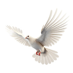 Obraz premium Dove in Flight with Outstretched Wings Representing Peace Symbolism