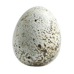 Speckled Emu Egg Natural Texture Isolated on White Background