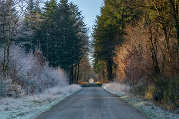 en route pour la foret de paimpont un matin de givre