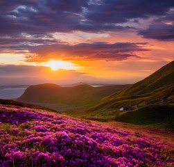 Obraz premium Breathtaking sunset, cloudy orange sunset Breathtaking nature photography flowers and peacef