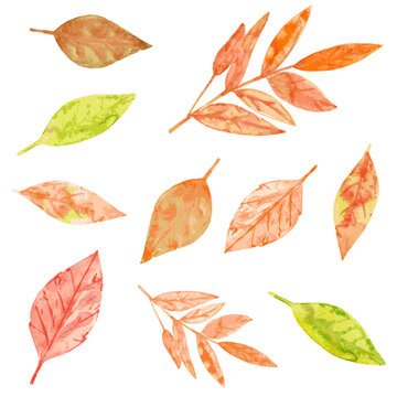 watercolor collection of autumn leaves. nature foliage background