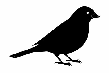 Tanager bird silhouette black vector art illustration