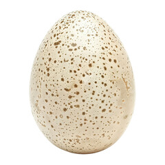 Unique Spotted Ostrich Egg Displayed on a White Background.