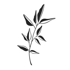 Herb Branch line art collection. Botanical illustration