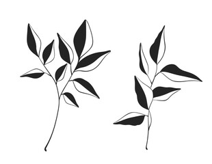 Herb Branch line art collection. Botanical illustration