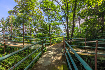 Background of various species of trees growing on the foot of the mountain, on the high rocks on the mountain top, beautiful ecosystem, fresh air.