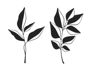 Herb Branch line art collection. Botanical illustration