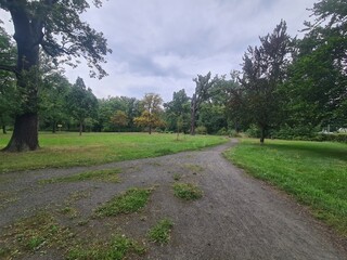 parc with atmospheric sky, trees and walking path in Berlin Friedrichshagen (Treptow/Köpenick)