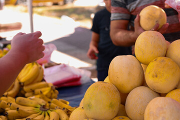 Group of yellow fresh ripe melons on local bazaar